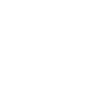 Orthotics Icon